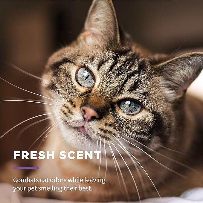 Wet Ones for Pets Freshening Multipurpose Cat Wipes with Aloe Vera, Fresh Scent - Easy to Use Cat Freshening and Grooming Wipes with Wet Lock Seal, 100 Count - 12 Pack