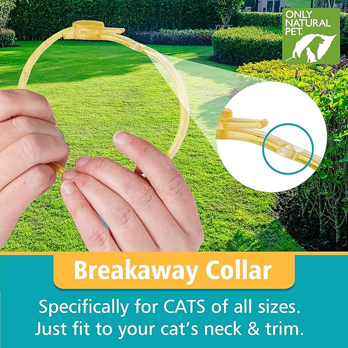 Only Natural Pet EasyDefense Flea & Tick Cat Collar - Feline Flea Collars Biting Insect Control - Pet Care that Protects up to 3 Months - for Cats (Single Collar)