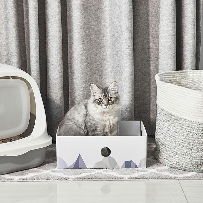 Conlun Cat Scratcher Box with Heavy-Duty Double-Sided Cardboard Pad, Cardboard Lounger, Interactive Hole Design, Cat Bed for Indoor Cats, White, Large