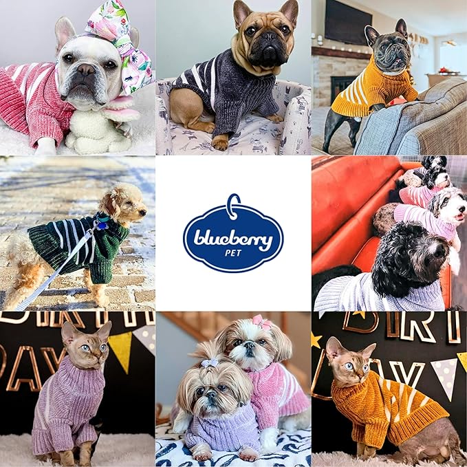 Blueberry Pet Cozy Soft Chenille Classy Striped Dog Sweater in Dusty Rose, Back Length 20", Pink Clothes for Dogs