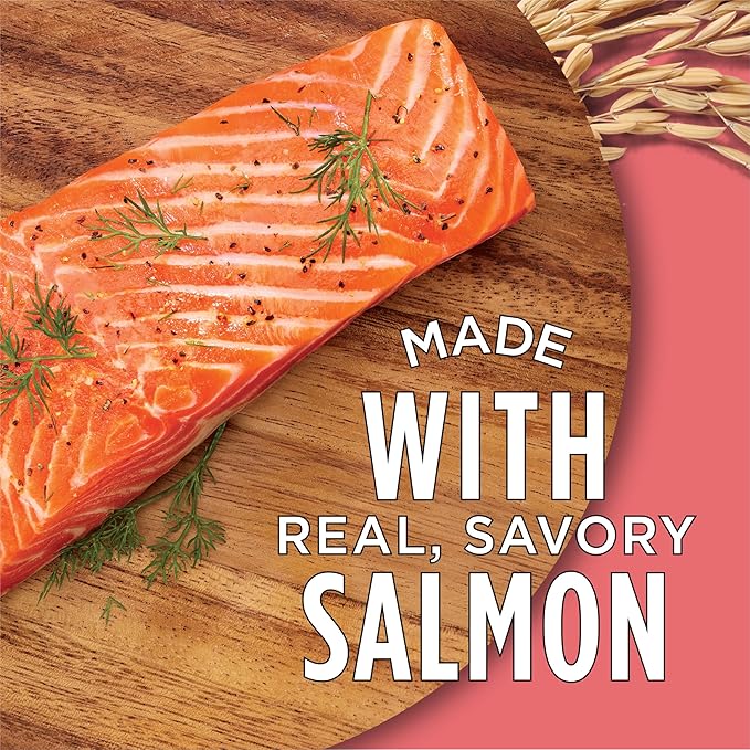 Purina Cat Chow Complete High Protein Dry Cat Food With Real Salmon - (Pack of 4) 3.15 lb. Bags