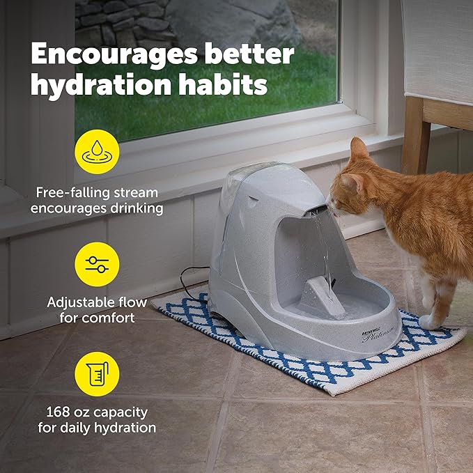 PetSafe Drinkwell Platinum Cat Water Fountain - Pet Fountain for All Pet Sizes, Encourages More Drinking, Includes 12-Pack of Replaceable Carbon Filters, Indoor Use, Grey (168 oz/5L)