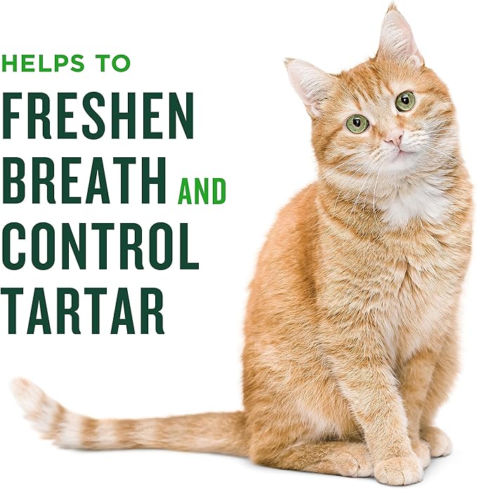 Minties Dental Treats for Cats, Salmon Flavored Cat Dental Treats, Freshens Breath and Controls Tartar, 10oz