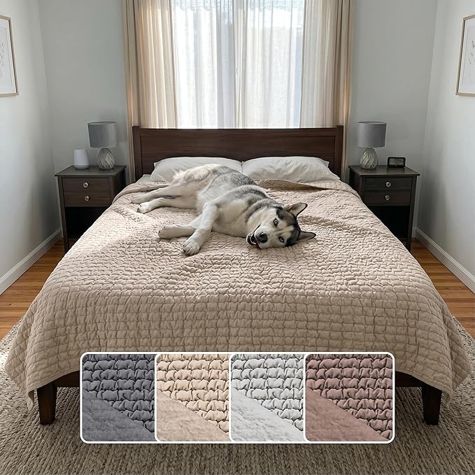 PAULATO BY GA.I.CO. Waterproof Blanket for Bed – Queen Absorbent Couch Cover – Machine Washable Stain-Proof Pad for Large Sofa – Pets Dogs & Cats Friendly Protector - Macadamia