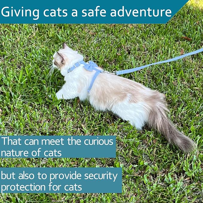 Cat Harness, Cat Vest Harness and Leash Set to Outdoor Walking Ddzmz Escape Proof Soft Mesh Breathable Adjustable Vest Harnesses for Cats Blue Colour S M Size for Pets Cats Kitten Puppy Rabbit Ferret