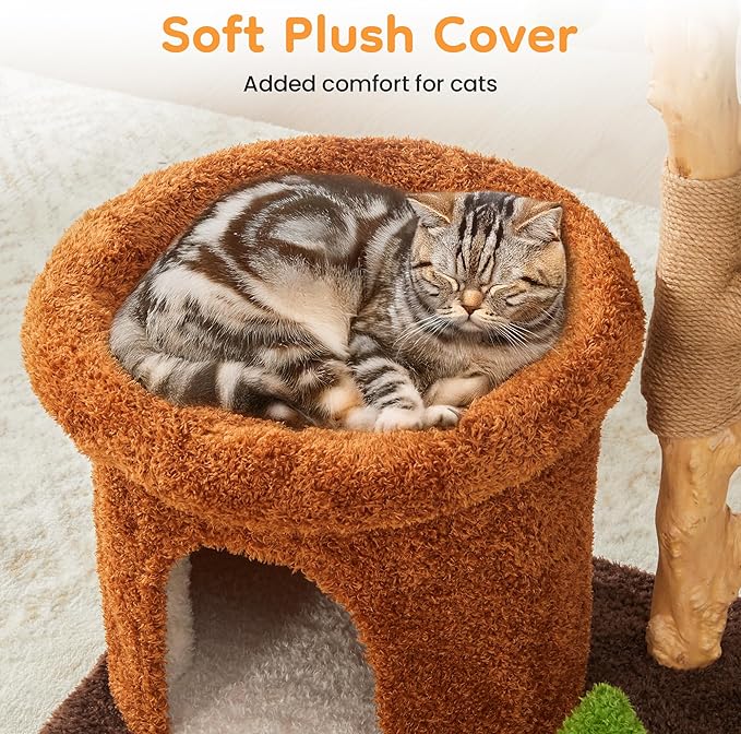 32-Inch Multi-Level Cat Tree Tower, Natural Wood Cat Furniture with Sisal Scratching Posts, Beds & Condo, Cute Cat Tree for Indoor Cats and Multi-Cat Households