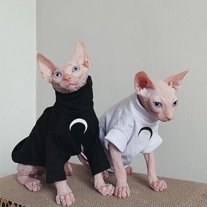 Sphynx Cat Clothes, Moon Print Turtleneck Cotton T-Shirt for Devon Rex Sphynx Cats (Black Short Sleeve, Medium)
