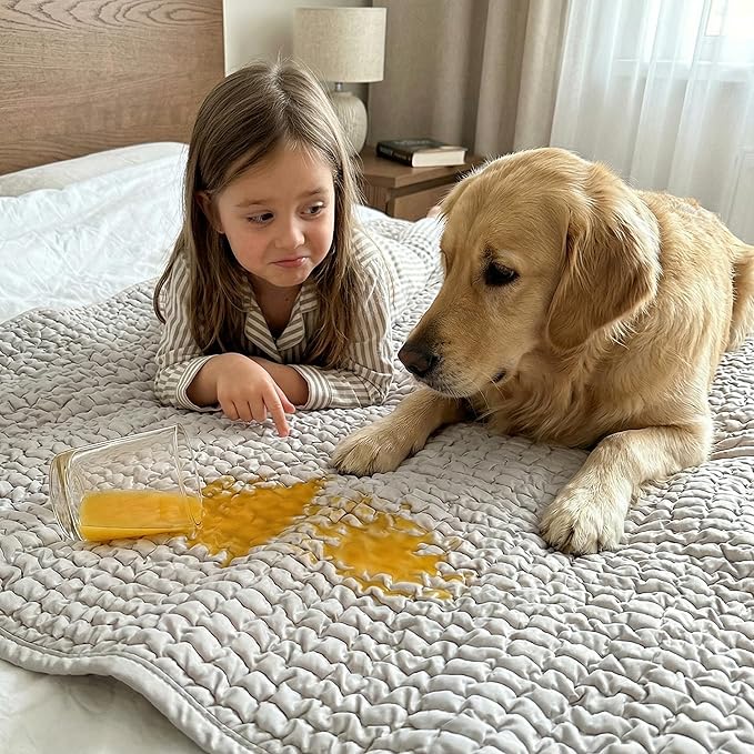 PAULATO BY GA.I.CO. Waterproof Blanket for Bed – King Absorbent Couch Cover – Machine Washable Stain-Resistant Pad for Large Sofa – Pets Cat & Dog Friendly Furniture Protector - Light Grey