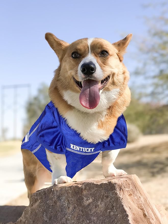 Pets First NCAA College Kentucky Wildcats Mesh Jersey for DOGS & CATS, X-Small.Licensed Dog Jersey with your Favorite Football/Basketball College Team