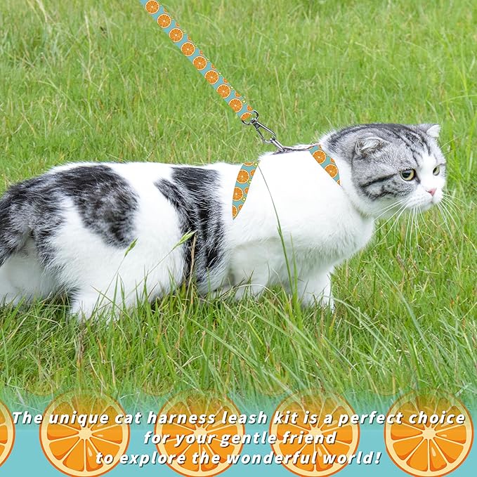 Seyezo Cat Harness and Leash Set, Adjustable Kitten Harness Escape Proof Cats Harness, Soft Lightweight Walking Travel Pet Harness, Cute Kitty Harness Leash Set for Small Medium Cats, Blue Lemon