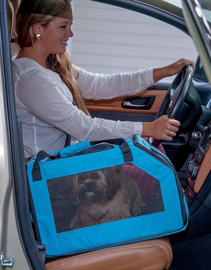 Pet Gear Carrier and Car Seat for Small Dogs & Cats, Arctic Blue