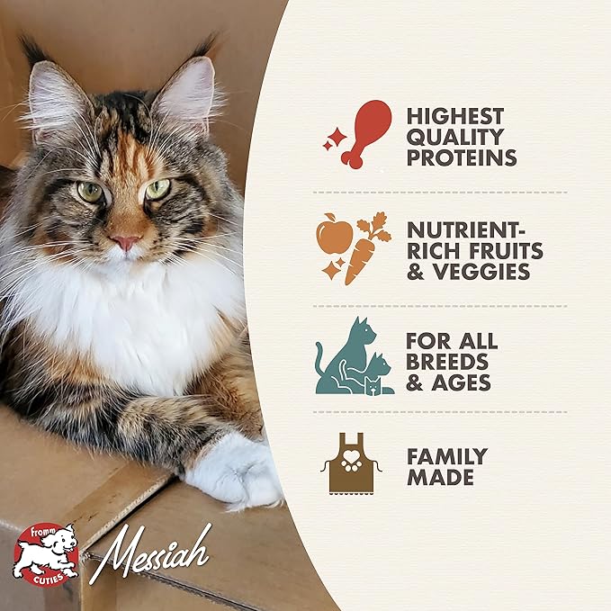 Fromm Four-Star Nutritionals Game Bird Cat Food - Premium Dry Cat Food - Turkey Recipe - 4 lb