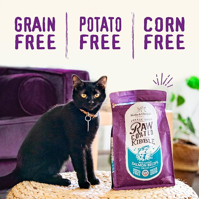 Stella & Chewy's Raw Coated Cat Food - High Protein, Grain-Free Kibble with Wild-Caught Salmon - Premium Digestive Support with Probiotics - Natural Small Kibble - Perfect for Picky Eaters - 5 lb Bag