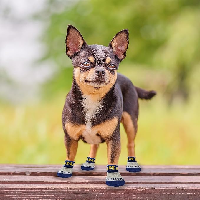 NCAA Michigan Wolverines Anti Slip Dog Socks with Elastic Ribbed Top, Size Medium/Large. Indoor/Outdoor Socks, Best Dog Paw Protector, 2 Pairs of Pet Socks with Your Favorite Collegiate Sports Team