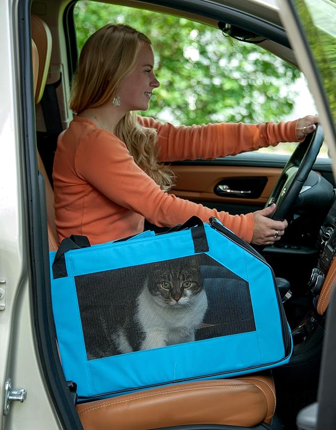 Pet Gear Carrier and Car Seat for Small Dogs & Cats, Arctic Blue