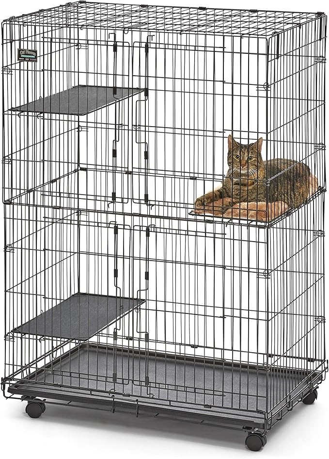 MidWest Homes for Pets Folding Metal Indoor Cat Playpen, Cage Includes Locking Wheels, 3 Platforms, Removable Tray, Plush Bed, Suited for 1-3 Cats