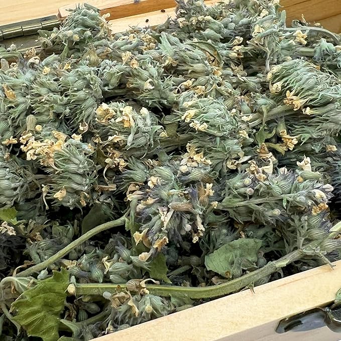 Meowijuana | Cigar Box | Grand Daddy Purr Catnip Buds | Premium Organic Catnip | Grown in North America | Perfect for Cat Toys