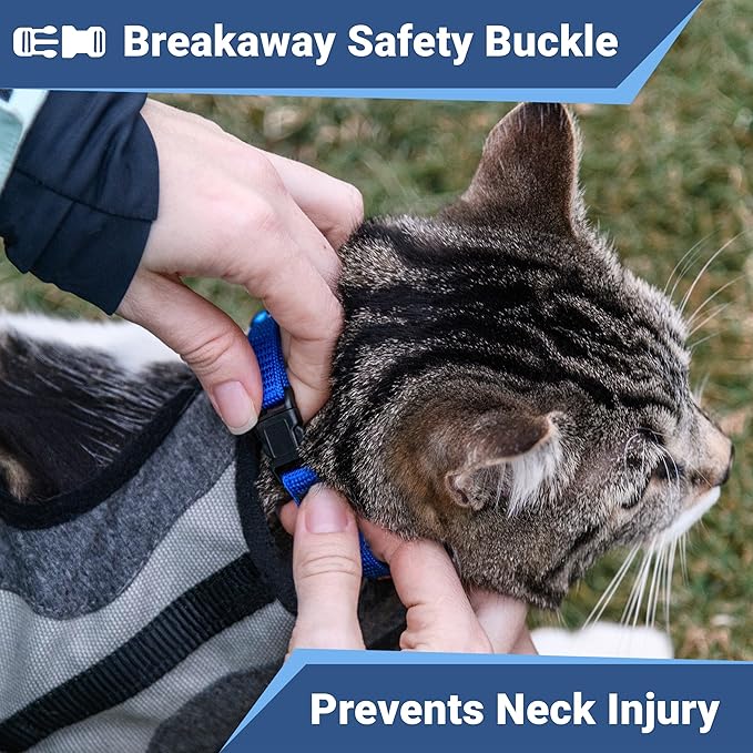 GoTags Cat Collars with Personalized Tag, Breakaway Collar with Safety Buckle Matching Bell, Engraved Custom with Name and Phone, Adjustable for Cats and Kitten, (Black with Nameplate)