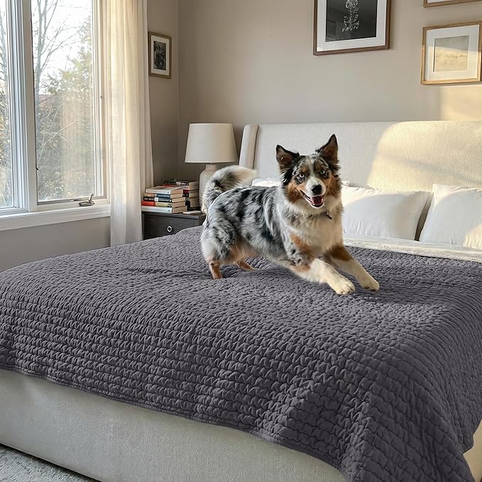 PAULATO BY GA.I.CO. Waterproof Blanket for Bed – King Absorbent Couch Cover – Machine Washable Stain-Resistant Pad for Large Sofa – Pets Cat & Dog Friendly Furniture Protector - Dark Grey