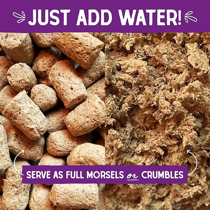 Stella & Chewy's Freeze-Dried Raw Cat Dinner Morsels - Premium Salmon & Chicken Recipe with 98% Wild-Caught & Cage-Free Protein - Natural Grain-Free Cat & Kitten Food - Made in USA - 1 oz (Pack of 6)