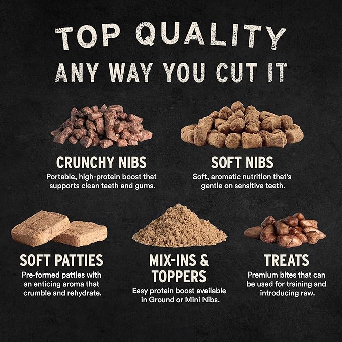 Vital Essentials Freeze Dried Minnows Cat Treats | Single Ingredient | Premium Quality | Grain Free, Healthy Treats for Cats, 1 oz Bag