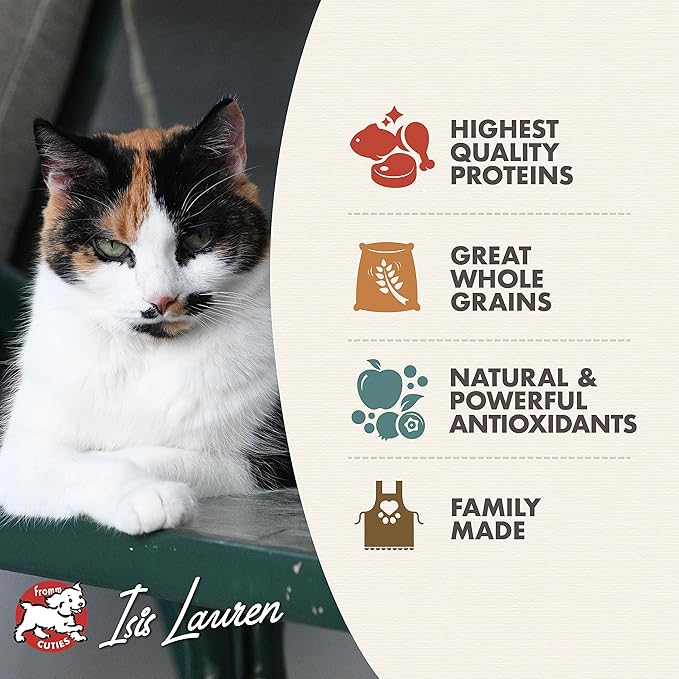 Fromm Adult Gold Dry Cat Food - Premium Cat Food for Adult Cats - Chicken Recipe - 10 lb