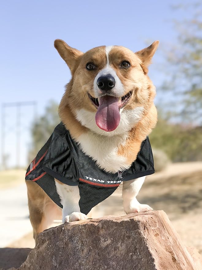 Pets First NCAA College Texas Tech Red Raiders Mesh Jersey for DOGS & CATS, Large. Licensed Dog Jersey with your Favorite Football/Basketball College Team
