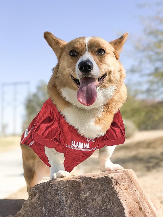 NCAA College Alabama Crimson Tide Mesh Jersey for Dogs & Cats, Small. Licensed Big Dog Jersey with Your Favorite Football/Basketball College Team (Pack of 2)