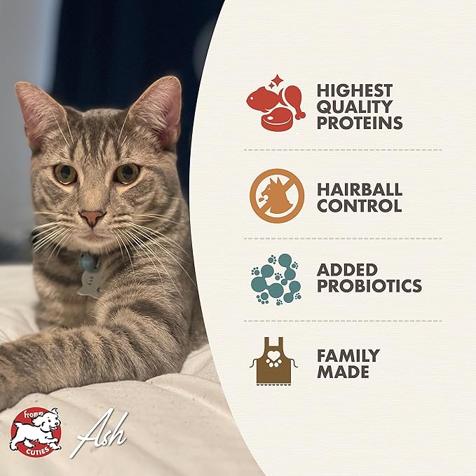 Fromm Indoor Cat Gold Dry Cat Food - Hairball Management Cat Food for Adult Cats - Chicken Recipe - 10 lb