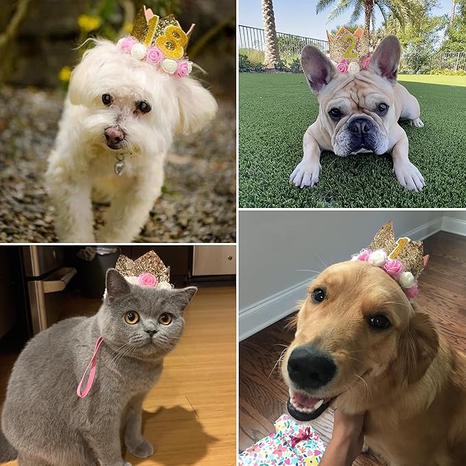 Dog Birthday Hat Adjustable Reusable Crown for Dogs Cats Puppy Kitten Birthday Party Headband with Numbers(Gold)