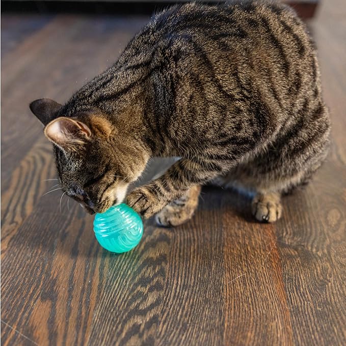 Catstages Ball Treat Stuffer Cat Toy – Interactive Treat Dispensing Ball for Cats, Mental Stimulation & Physical Exercise, Soft & Durable, Green (Pack of 2)