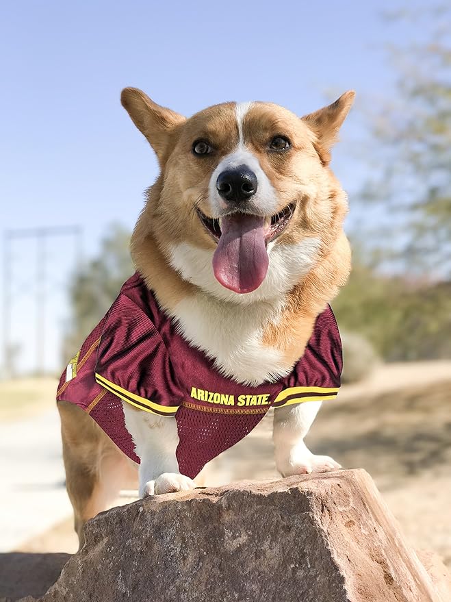 Pets First NCAA College Arizona State University Mesh Jersey for Dogs & Cats, Small. Licensed Big Dog Jersey with Your Favorite Football/Basketball College Team (Pack of 2)