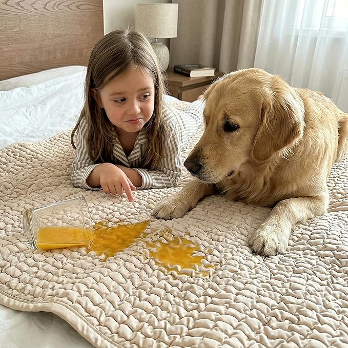 PAULATO BY GA.I.CO. Waterproof Blanket for Bed – Queen Absorbent Couch Cover – Machine Washable Stain-Proof Pad for Large Sofa – Pets Dogs & Cats Friendly Protector - Macadamia