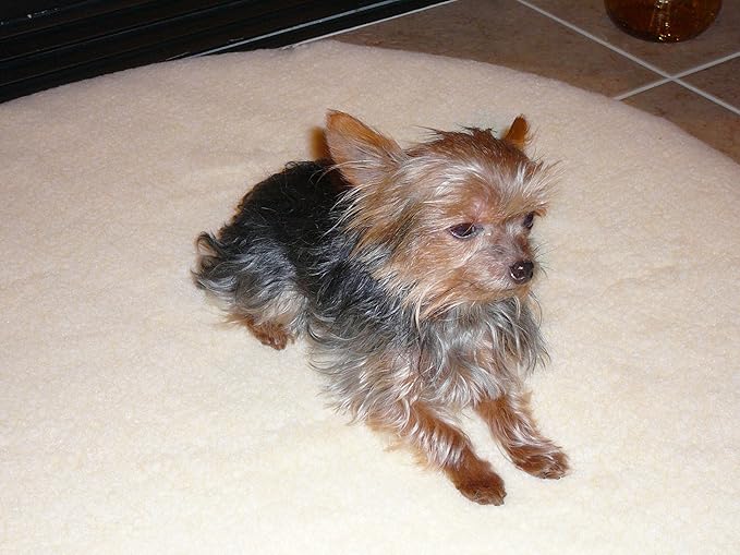 ProMagnet Magnetic Therapy Pet Bed (X-Large) Cotton Cover. Made in The USA for Over 28 Years