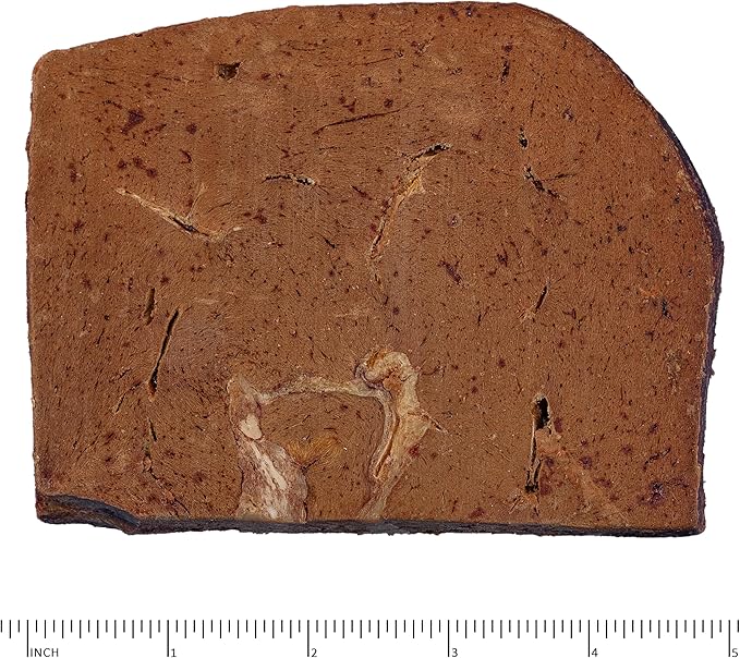 Archetype Treats Beef Liver Case of 12-5.5 oz. Bags