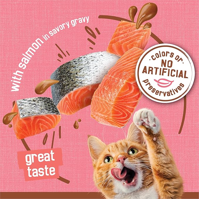 Purina Friskies Extra Gravy Wet Cat Food Chunky With Salmon in Savory Gravy - (Pack of 24) 5.5 oz. Cans