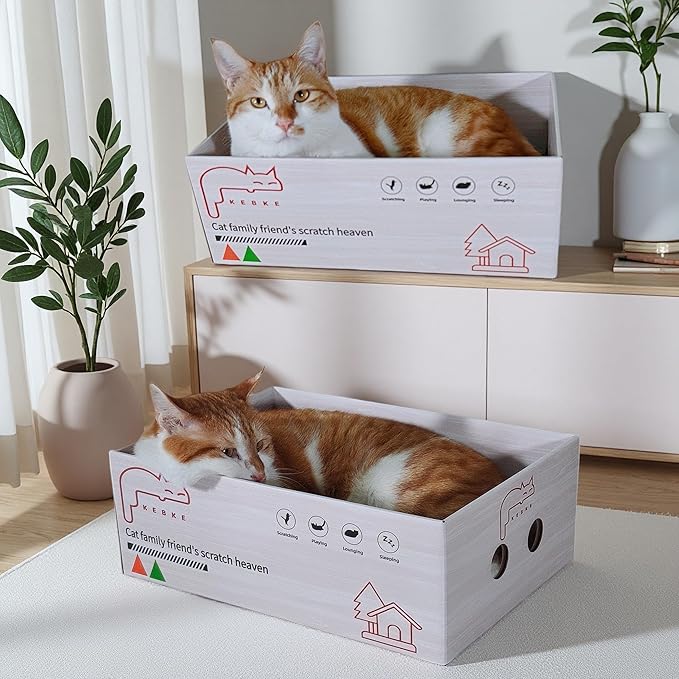 Cat Scratcher 24 Inch Cat Scratching Sofa Bed & 16" Lounge Box with Scratch Pad - Durable Cat Scratchers for Indoor Cats to Protect Your Furniture