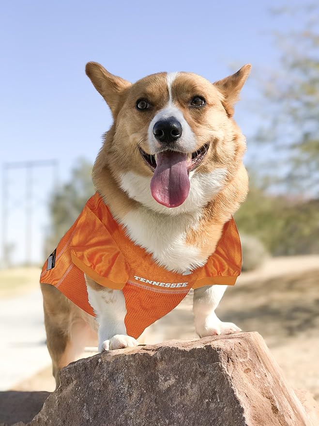 Pets First NCAA College Tennessee Volunteers Mesh Jersey for DOGS & CATS, Small.Licensed Dog Jersey with your Favorite Football/Basketball College Team