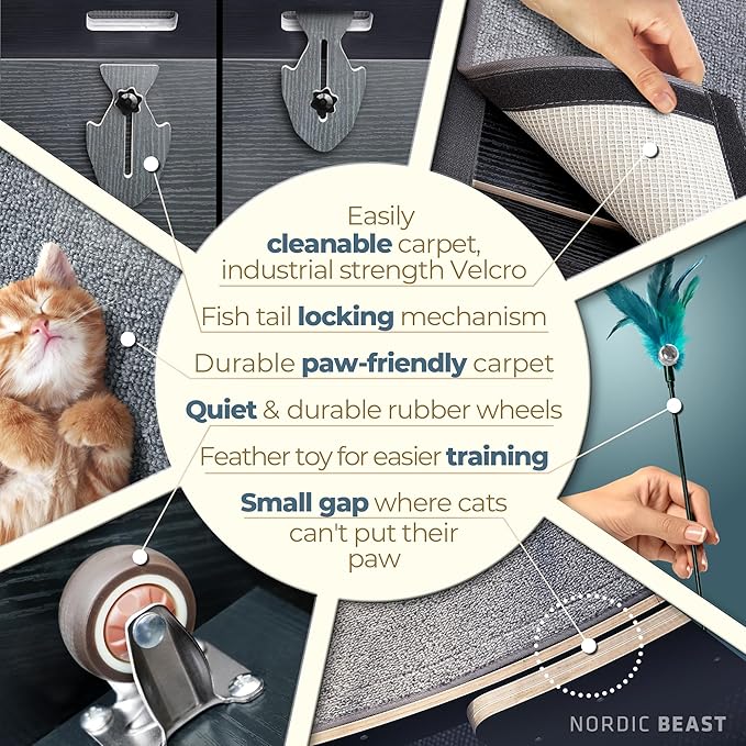 Nordic Beast 48'' XL Cat Wheel – Safe, Quiet & Stable Exercise Wheel for Large Indoor Cats up to 45 lbs – 15.7'' Extra-Wide Surface Fits 2 Cats Side by Side & Prevents Wobbling, 1-Year Warranty