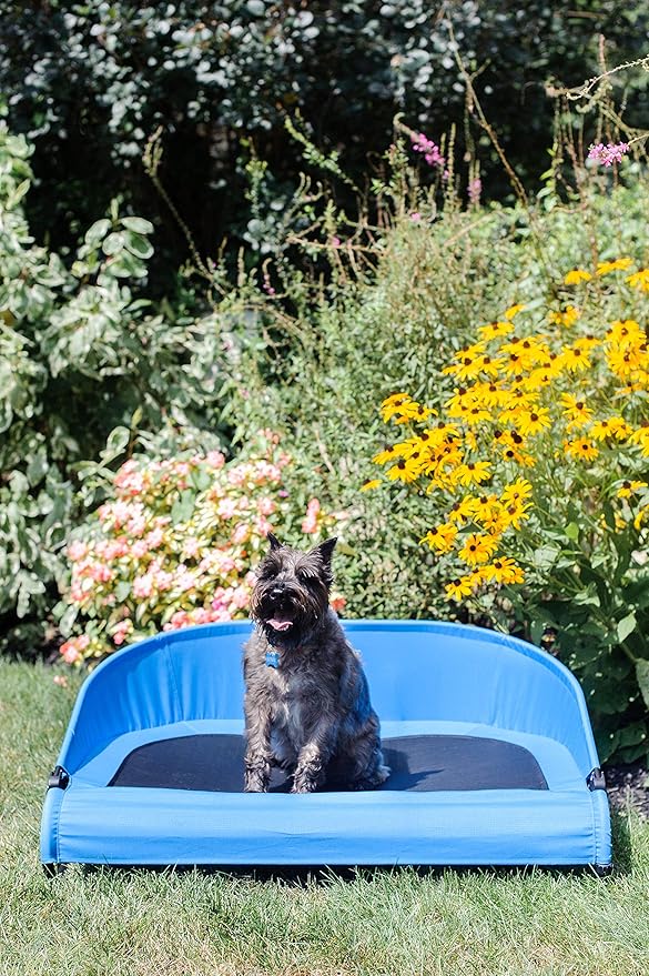 Gen7Pets Trailblazer Cool-Air Cot, Large