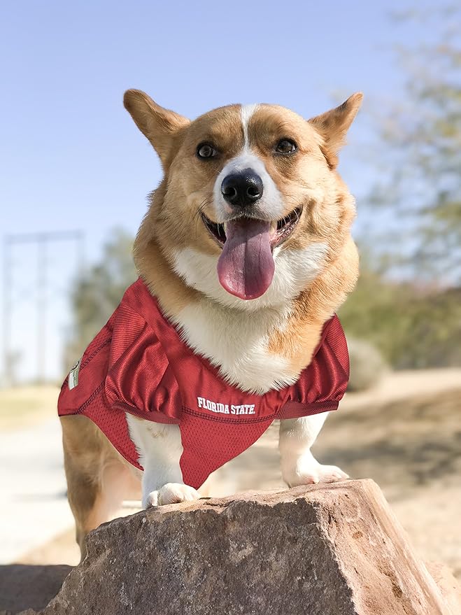 Pets First NCAA College Florida State Seminoles Mesh Jersey for DOGS & CATS, X-Large. Licensed Dog Jersey with your Favorite Football/Basketball College Team