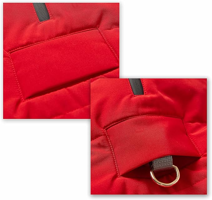 Blueberry Pet Waterproof Quilted True Red Dog Jacket – Cozy Winter Coat & Warm Hoodie for Medium to Large Dogs, Size 18 (20" Back Length)