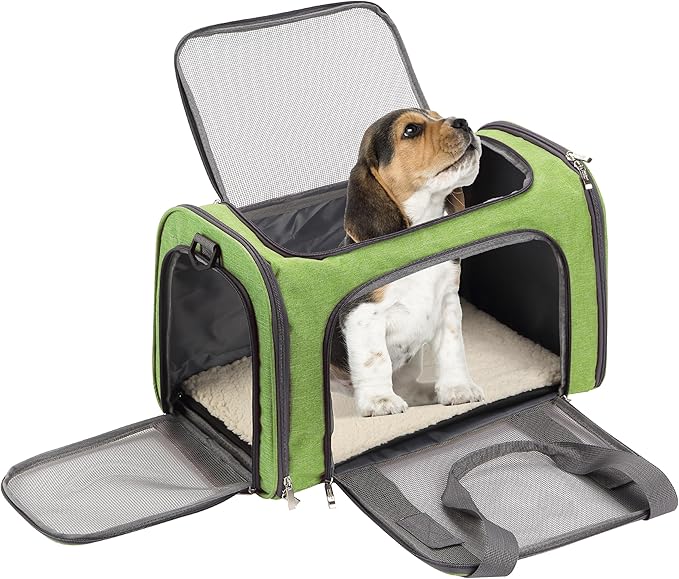 Mr. Pen- Pet Carrier, 17.5" x 11.2" x 11.5", Medium Size, Green, Portable Travel Carrier for Small Pets, Cats & Small Dogs, Breathable Mesh, Safety Inner Leash, Side Pocket & Padded Shoulder Strap