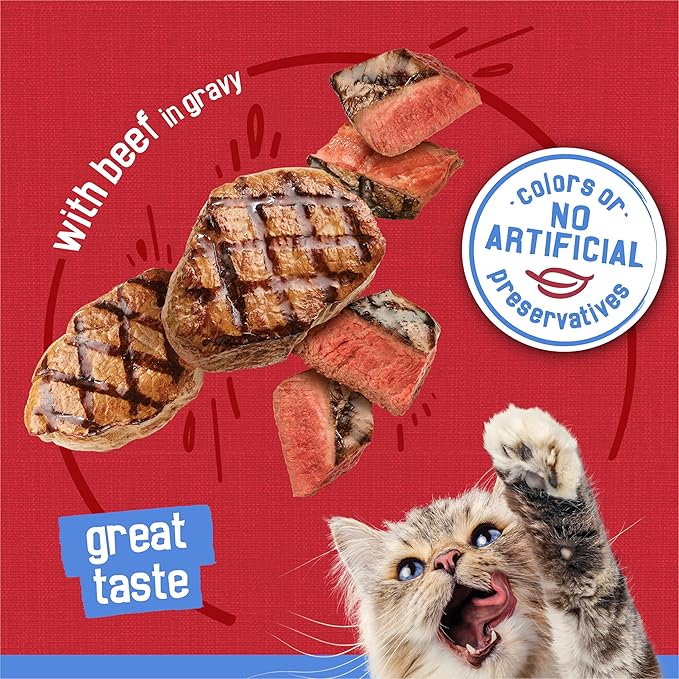 Friskies Purina Shreds with Beef in Gravy Wet Cat Food - 5.5 oz. Cans (Pack of 48)
