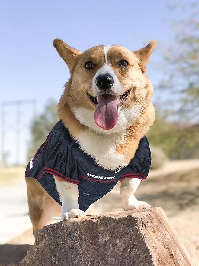 NFL Housotn Texans Dog Jersey, Size: Medium. Best Football Jersey Costume for Dogs & Cats. Licensed Jersey Shirt