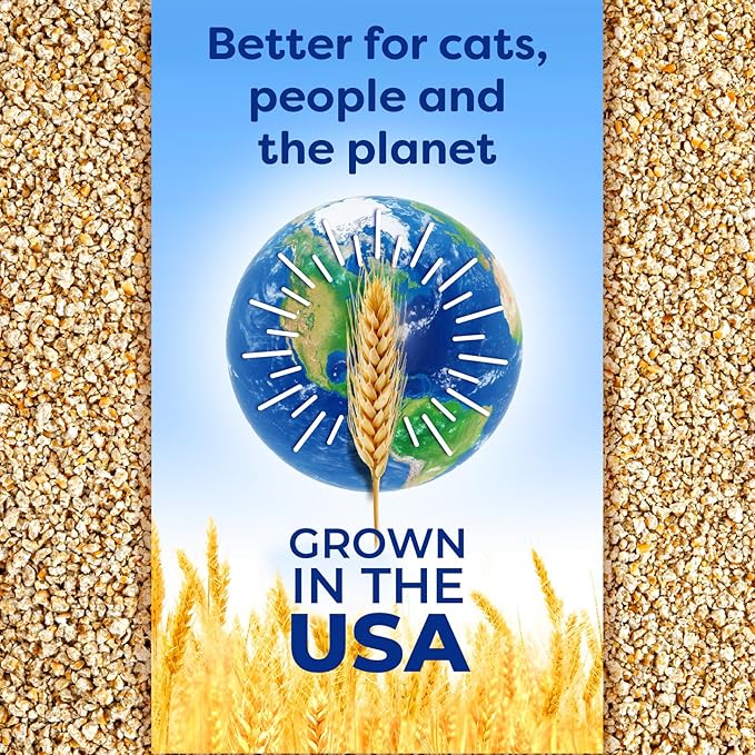 sWheat Scoop Natural Wheat Cat Litter, Original, Fast Clumping with Odor Neutralizing Enzymes, 14 Pound Bag