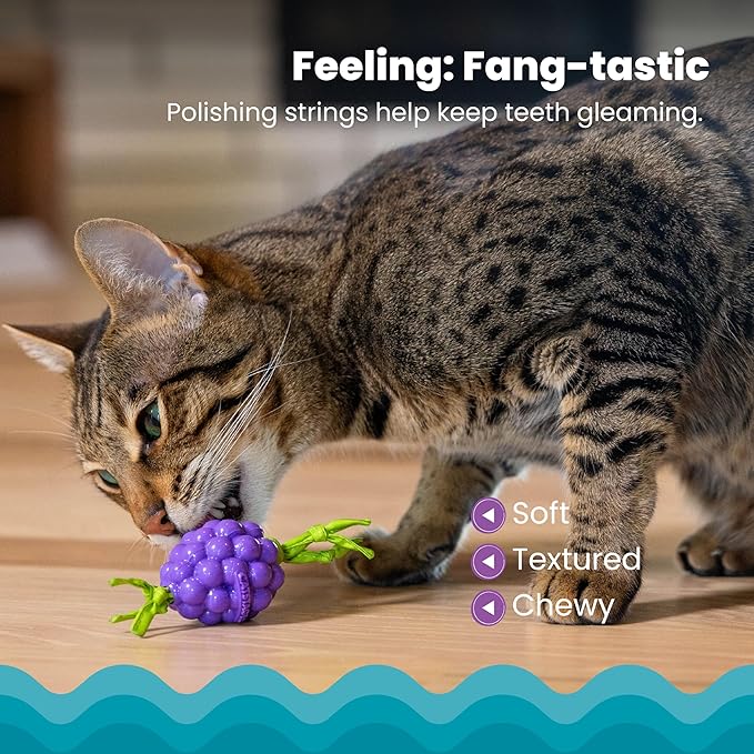 Catstages Bouncing Grape Teether Cat Toy, Soft and Textured Chew, Catnip Oil Coating