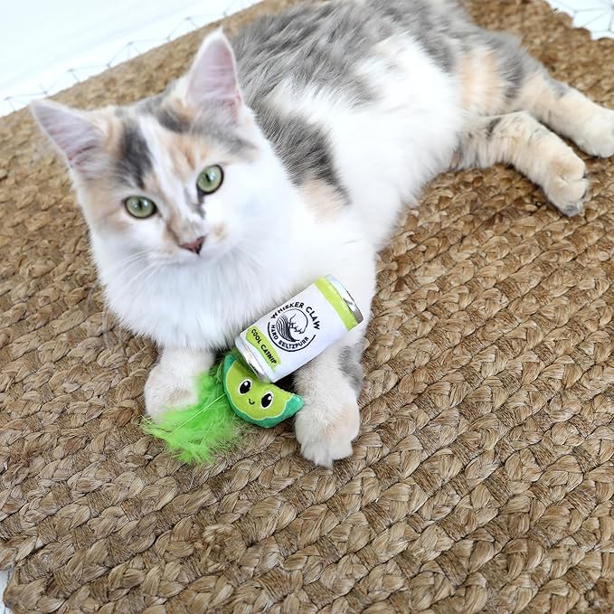 Whisker Claw & Lime Catnip Crinkle Plush Cat Toy, Pack of 2 | Soft Plush Toys with Textured Crinkle Sound | Enriched with Premium Catnip