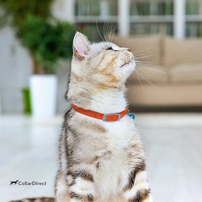 CollarDirect Leather Cat Collar with Removable Bell – Safety Elastic Strap (Breakaway Alternative) – Kitten Collar for Small & Big Boy & Girl Cats