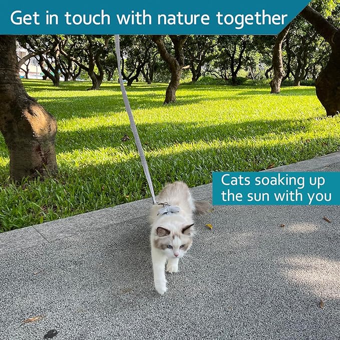 Cat Harness and Leash, Cat Leash and Harness Set Ddzmz Soft Mesh Breathable Adjustable Cat Vest Pets Harnesses for Walking Escape Proof Grey Color S Size for Pets Cats Kitten Puppy Rabbit Ferret(1Pack